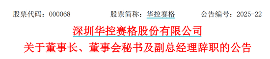 华控赛格董事长、董秘、副总经理(🕋)三高管同日辞职